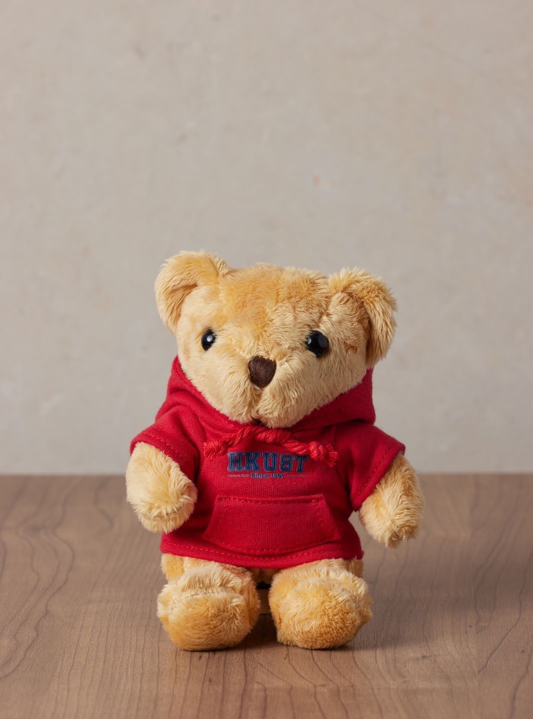 Mini bear Keychain - hoodie